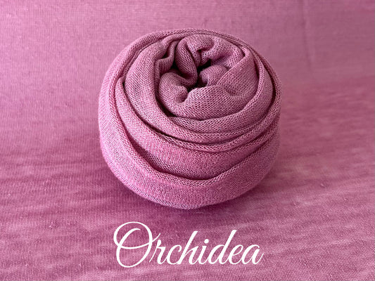 Orchidea